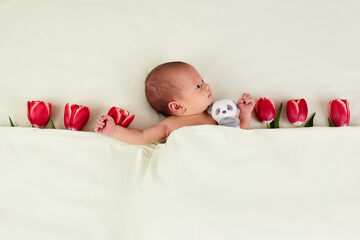 cute newborn baby with red tulips and teddy bear toy