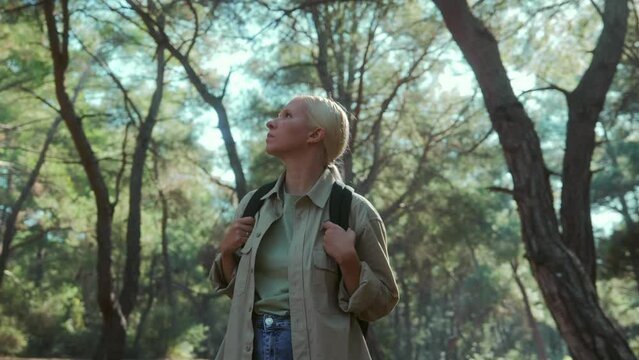 A pretty young blonde tourist woman stands in a sunny forest and admires the beauty on a summer day. High quality 4k footage