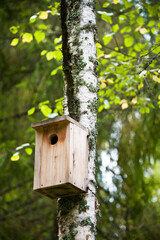 bird house on a tree