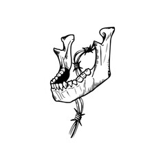 skull jaw illustrator vector concept