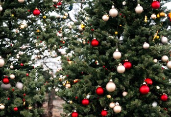 Fototapeta na wymiar Christmas tree ornaments