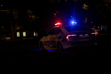 Obraz na płótnie Canvas Police emergency flash lights at night from the back