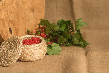 rote johannisbeeren