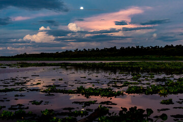 colorful sunrise over the lake in nature