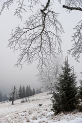 Frosty winter day in the mountains