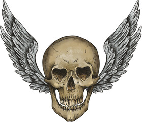 Obraz premium skull with wings tranparent PNG