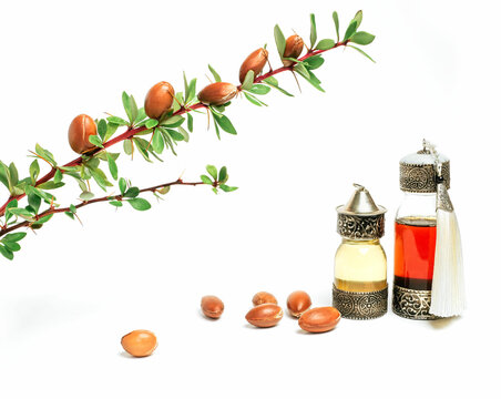 Cosmetic means: authentics oriental bottles with cosmetic oil, argan nuts and green leaves of argania spinosa tree on isolated background. 