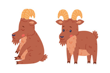 Urial Character as Wild Mountain Sheep with Horns Sitting and Standing Vector Set