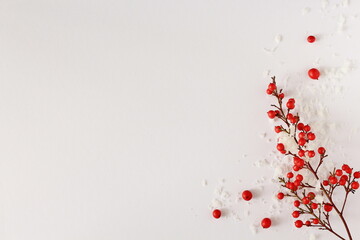 Winter wallpaper with red berries covered with snowflakes isolated on a white background, blank space for text or Christmas wishes, shallow depth of field.