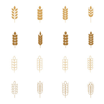 Wheat icons set. Wheat ear of various shapes, linear icon collection. Line with editable stroke