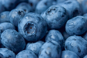 Blueberry close-up, macro.