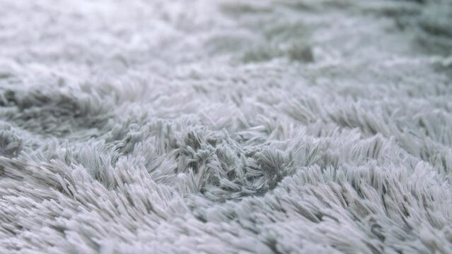 girl touching the rug close up, stroking area rug, runs his hand over the rug, area rug on the floor, fluffy carpet close-up