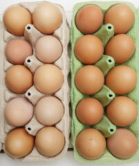 two paper trays for chicken eggs of different color filled with fresh eggs. selective focus.