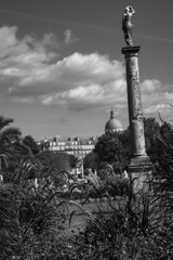 Obraz premium Flora and plants of the Tuileries Park in Paris, France, with the monuments and statues in the background