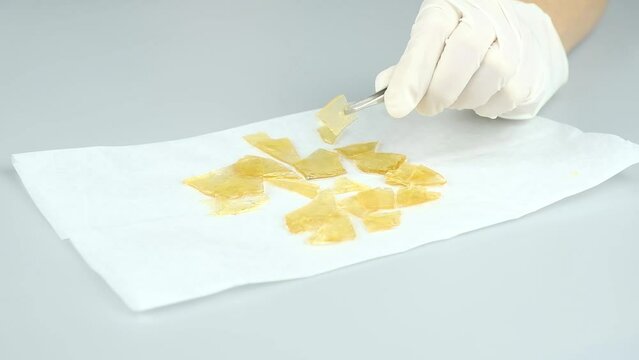 scientific study of cannabis terpenes, pure thc wax in hand. High quality FullHD footage