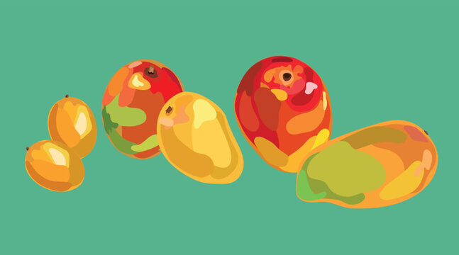 peruvian mangoes vector illustration