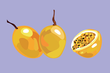 passion fruit peruvian seed vector illustration