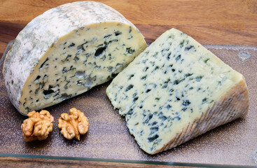 Cheese collection, piece of French blue cheese auvergne and fourme d'ambert