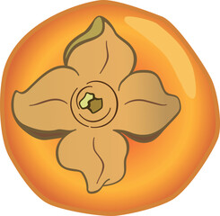 Persimmon, sweet autumn fruit - color vector picture. Persimmon tree fruit, plant food, healthy diet