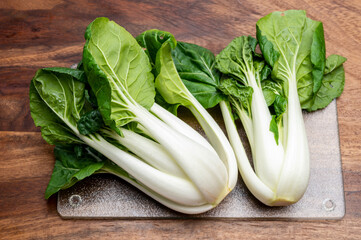 Young organic white bok choy or bak choi Chinese cabbage ready to cook - obrazy, fototapety, plakaty