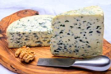 Cheese collection, piece of French blue cheese auvergne and fourme d'ambert