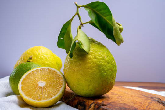 Variety of citrus fruits, bergamot and lemon citron cedrate or Citrus medica, large fragrant citrus fruit with thick rind