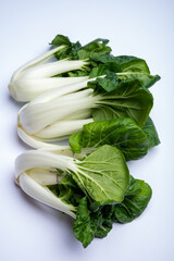Young organic white bok choy or bak choi Chinese cabbage ready to cook