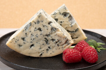 Cheese collection, piece of French blue cheese auvergne or fourme d'ambert