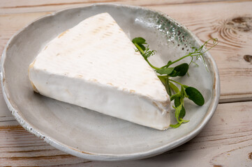 Cheese collection, French brie de Meaux cheese from Seine-et-Marne region with white mold