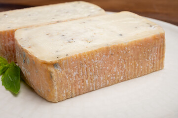 Italian cheese collection, yellow taleggio cheese with black truffles mushrooms