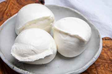 Fototapeta na wymiar White ball of Italian soft cheese Mozzarella di Bufala Campana