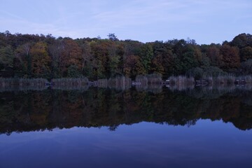 reflection of trees in the lake