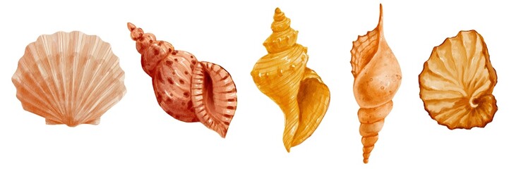 Set of watercolor seashells.
