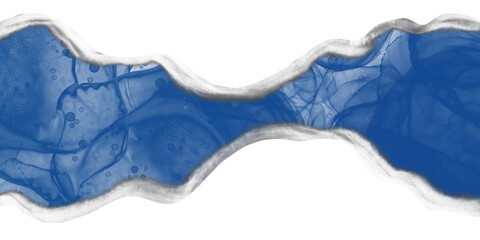 Blue luxury abstract wavy borders. NO background.