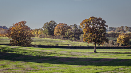 Kent Farmland