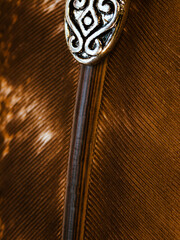 A Close Up of a feather quill