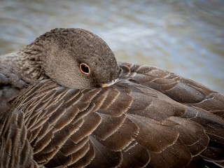 Waiting out the Rain