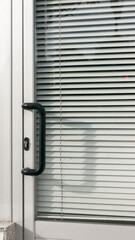 Puerta de cristales y persiana