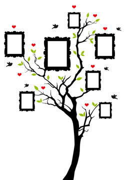 Family tree with green leaves and blank photo frames, flying birds and red hearts, illustration over a transparent background, PNG image