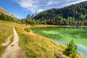 Fototapeta na wymiar Alpine Lake Palpuogna at Albula Pass in Graubunden alps, Grisons, Switzerland