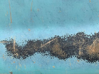 Blue Rusted Car Texture