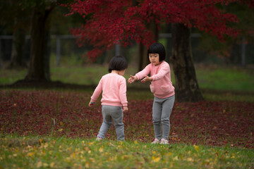 Fototapeta premium 紅葉が綺麗な公園で自然を楽しむ小さな姉妹