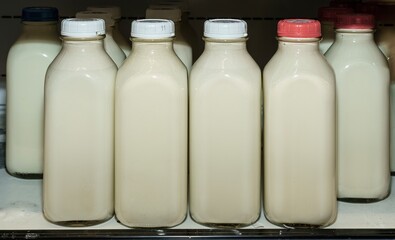 Glass milk bottles lined up
