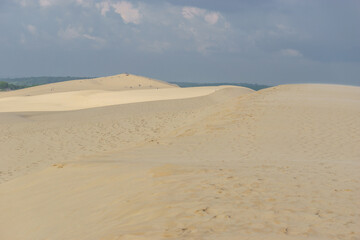 Sandy dune du Pilat, the biggest sand dune in Europe with the pine forest, Arcachon, Nouvelle-Aquitaine, France