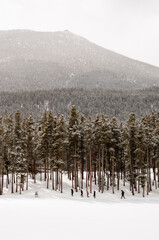 People Hiking Rocky Mountain National Park, Colorado, near Sprague Lake