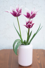 Naklejka na ściany i meble Delicate pink tulips in a vase, spring still life, minimalist, floral background