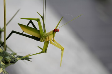 Photo of a green mantis origami.