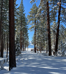 Snowy pathway down to Nevada Beach on Lake Tahoe