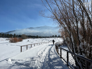 Lam Watah Nature Trail at Lake Tahoe in Nevada