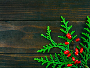 Thuja branch with red berries on brown wooden background .Christmas background .close-up